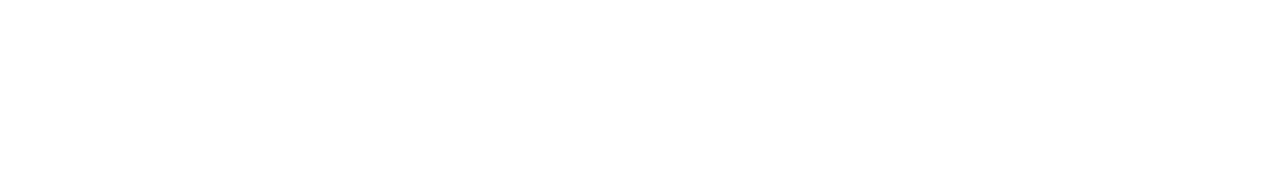 Revolut Network logo