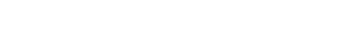 Revolut Network logo